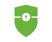 Spring Security logo